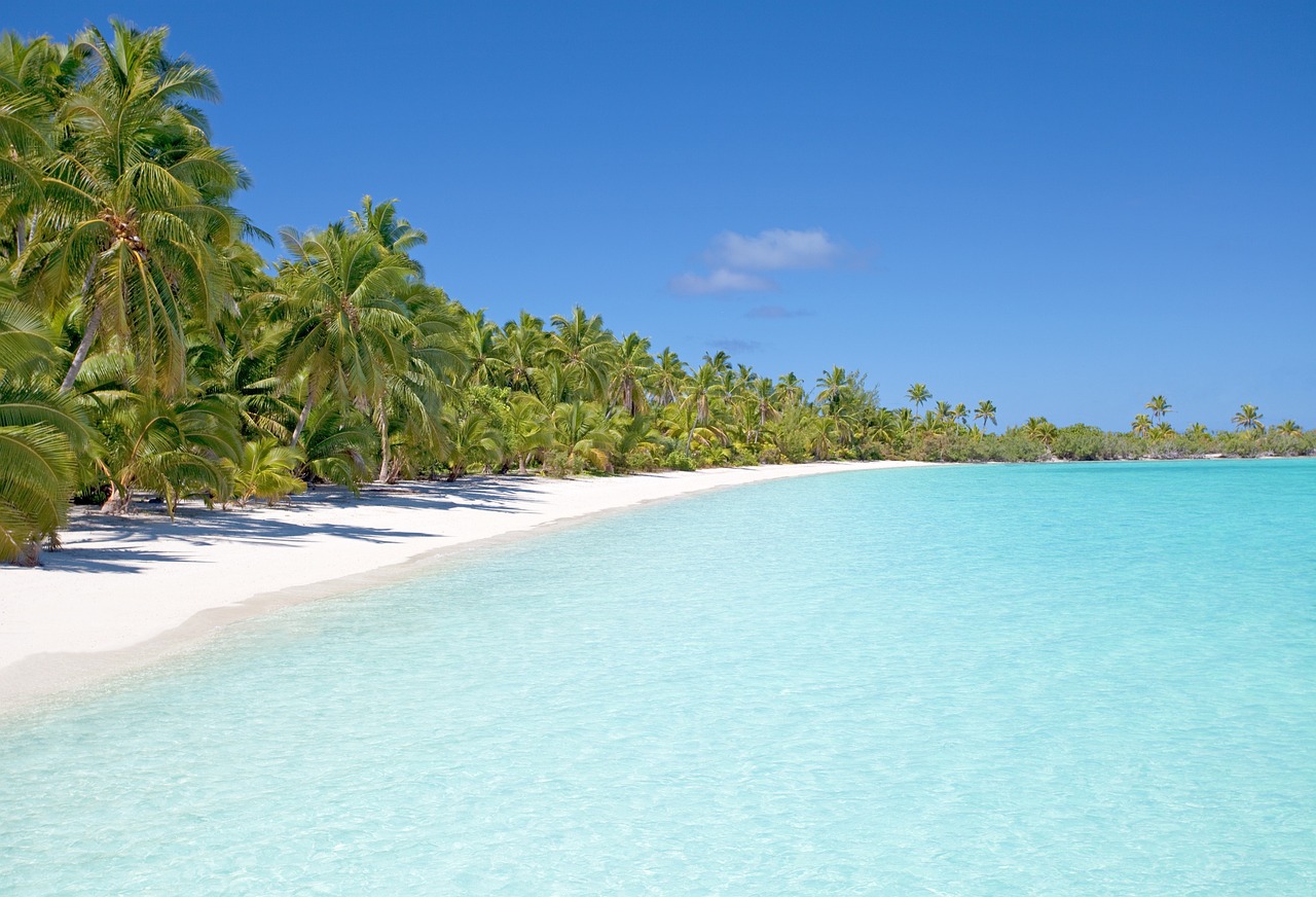 beach, island, ocean, sea, seascape, seashore, palm trees, water, nature, paradise, tropical, tropical island, sand, sandy beach, white sand, beach, beach, beach, beach, beach