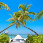 Idyllic tropical beach view with palm trees and pier in Maldives, ideal for relaxation and vacation.